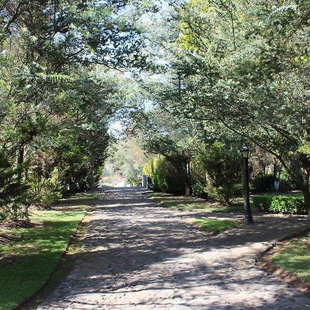 Rancho San Antonio Hotell Huasca de Ocampo Exteriör bild