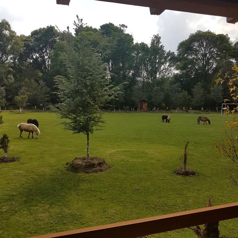 Rancho San Antonio Hotell Huasca de Ocampo Exteriör bild