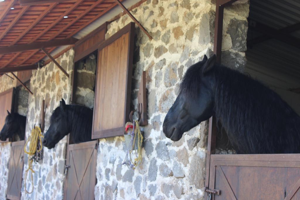 Rancho San Antonio Hotell Huasca de Ocampo Exteriör bild