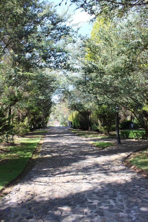 Rancho San Antonio Hotell Huasca de Ocampo Exteriör bild